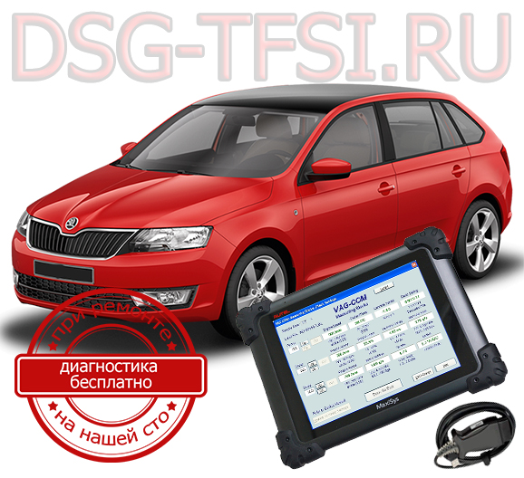 adaptacia dsg skoda rapid  provoditsya dilerskim oborudovaniem attestovanimi masterami po oficialnoi karte bez ocheredi i dolgih ozhidani